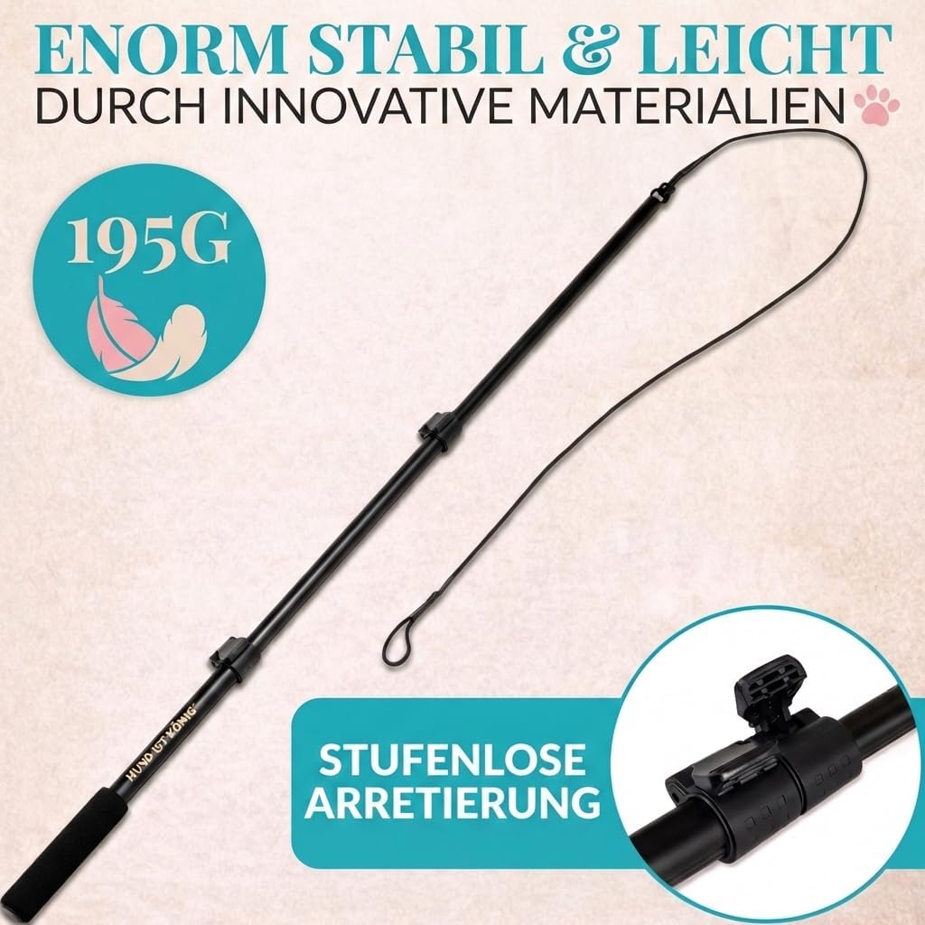 HUND IST KÖNIG® Reizangel Hunde - Profi Reizangel für Hunde für ultimativen Spielspass & körperliche