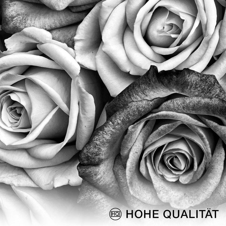 Novart Wandbilder Set Fashion Coco - KOMPLETT AUFHÄNGFERTIG - Made in Germany - Moderne Bilder Wohnz