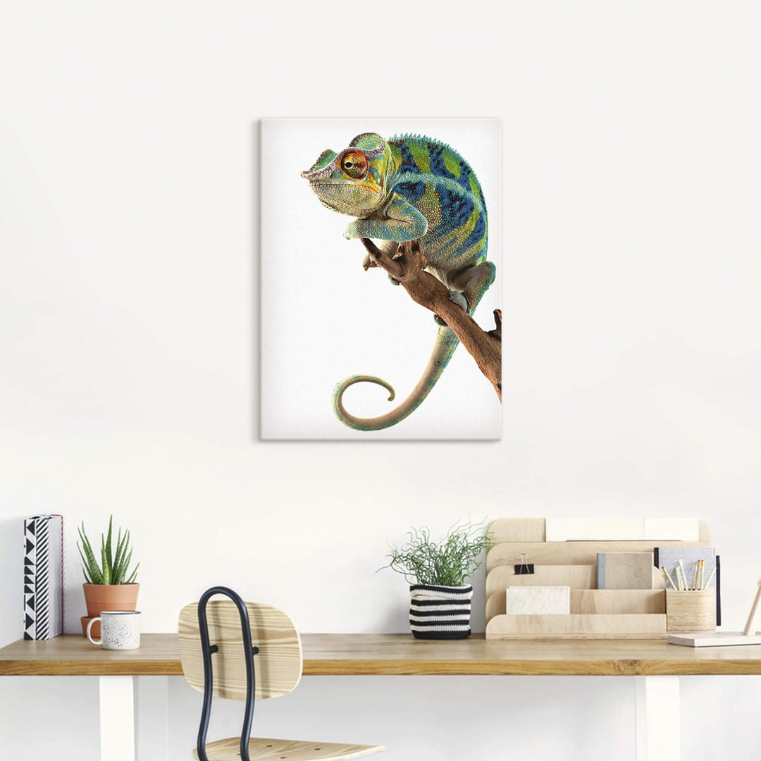 ARTland Leinwandbilder Wandbild Bild auf Leinwand 60x80 cm Tiere Reptilien Chamäleon Madagaskar Zoot