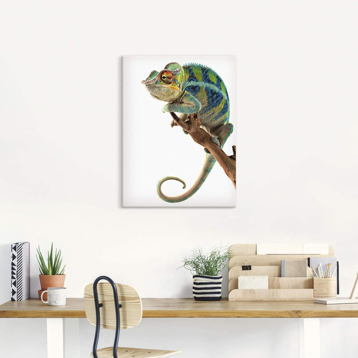 ARTland Leinwandbilder Wandbild Bild auf Leinwand 60x80 cm Tiere Reptilien Chamäleon Madagaskar Zoot