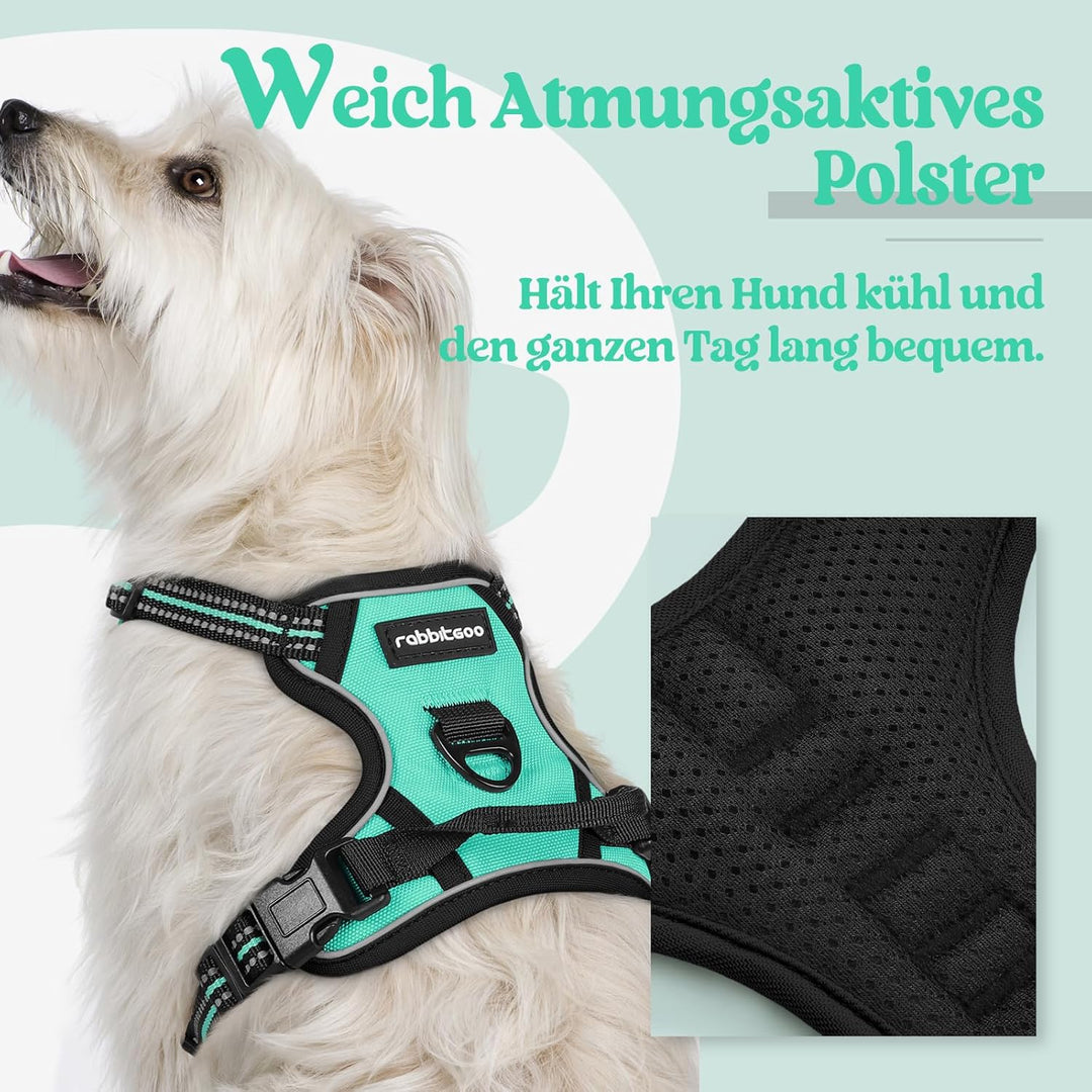 rabbitgoo Hundegeschirr Kleine Hunde, Anti Zug Geschirr mit Kontrolle, No Pull Verstellbar Hundegesc