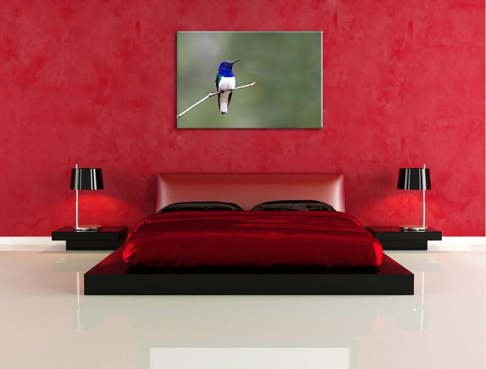 kleiner farbenfroher Vogel Leinwand, XXL riesige Bilder fertig gerahmt mit Keilrahmen, Kunstdruck au