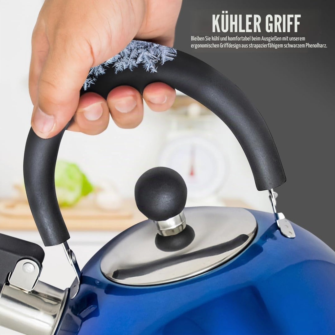 Leichter Wasserkessel mit Pfeiffe aus rostfreiem Edelstahl, Wasserkocher für Camping und Angeln, 2,5
