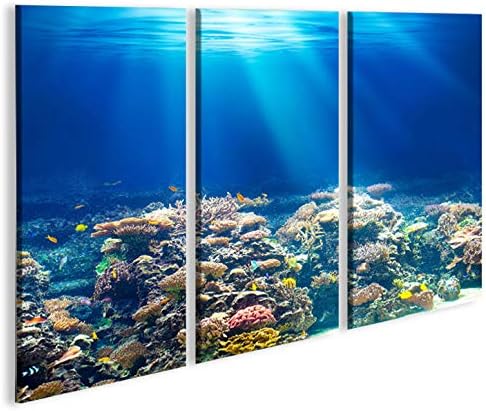 islandburner Bild Bilder auf Leinwand Unterwasser Tauchen Korallen Meerwasser 3p XXL Poster Leinwand