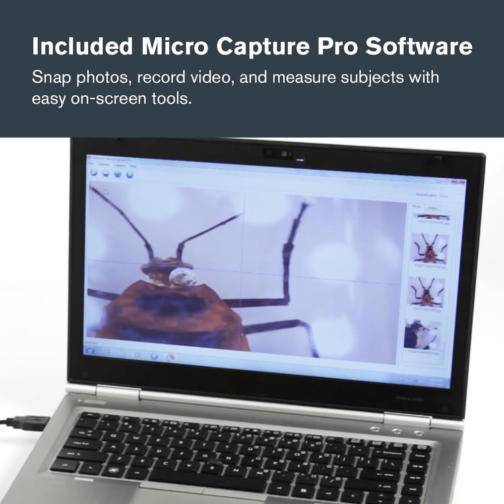 Celestron 44308 5 MP Handheld-Digitalmikroskop Pro Einzeln, Einzeln