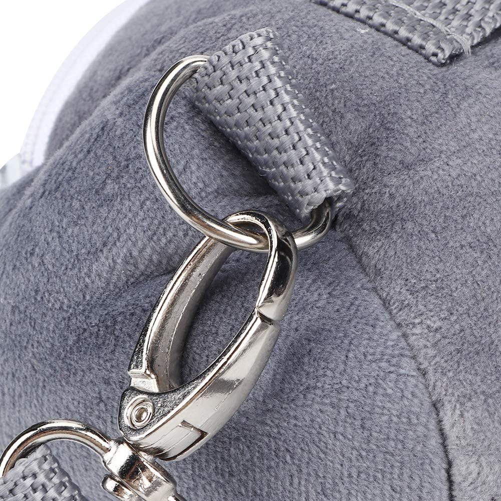 Haustier Tragetasche, Komfortabel, Umweltfreundlich und Atmungsaktiv Eichhörnchen Outing Handtasche