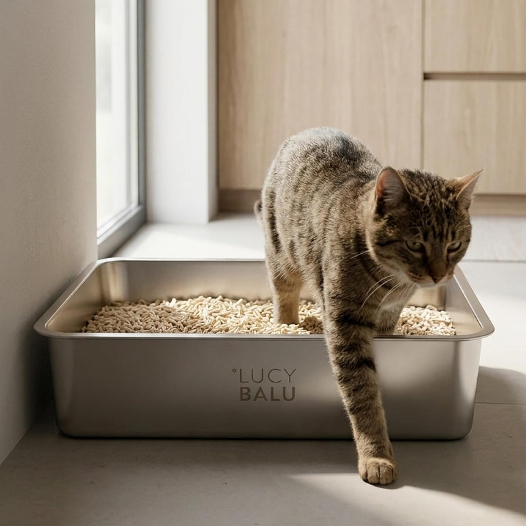 LucyBalu® STEELOO Edelstahl Katzenklo geruchsfrei | XXL-Katzentoilette aus Edelstahl | offenes Katze