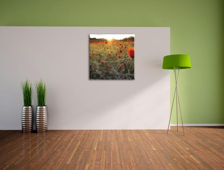 Pixxprint Traumhaftes Mohnfeld bei Sonnenuntergang Schwarz/Weiss, Format: 70x70 auf Leinwand, 70x70