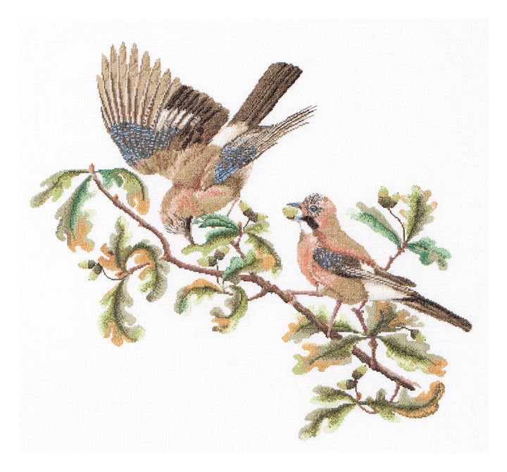 Thea Gouverneur - Kreuzstich-Set - Jay - Leinen - 36 Count - Für Erwachsene - 2022 50x56cm Jay, 50x5