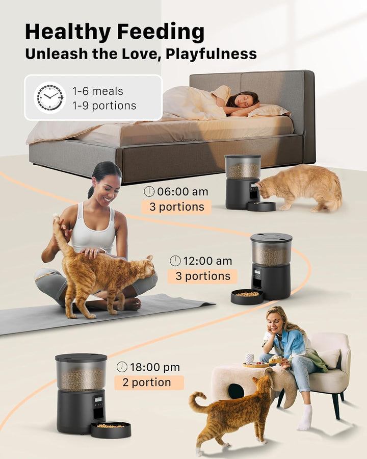 BEMOONY Futterautomat Katze, Katzenfutter Automat mit Programmierbarem Timer, 1-6 Mahlzeiten pro Tag