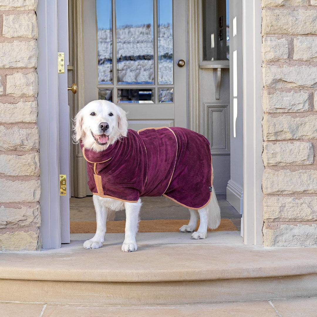 Lucky Paws® Hundebademantel – doppellagiger, Ultra-absorbierender & luxuriös weicher Bademantel Hund