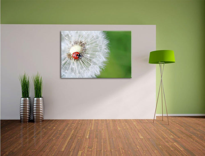 Pixxprint Marienkäfer auf einem Löwenzahn / 100x70cm Leinwandbild bespannt auf Holzrahmen/Wandbild K
