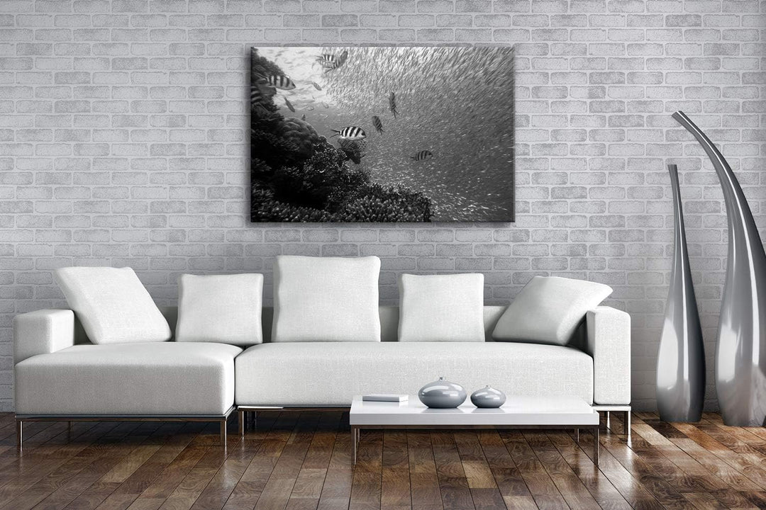 deyoli Fischschwärme im Korallenriff Format: 60x40 Effekt: Schwarz&amp;Weiss als Leinwandbild, Motiv fer