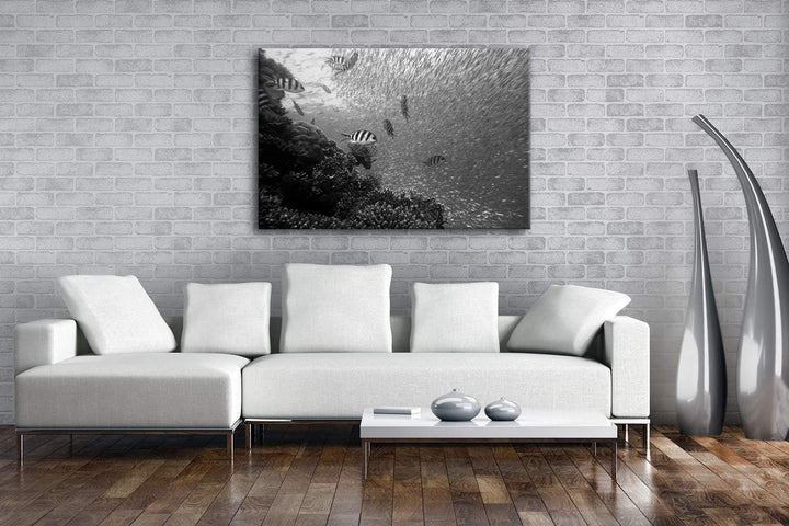 deyoli Fischschwärme im Korallenriff Format: 100x70 Effekt: Schwarz&amp;Weiss als Leinwandbild, Motiv fe