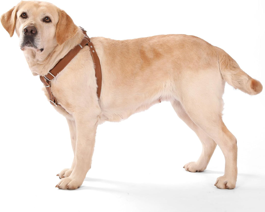 Hundegeschirr Leder Softgeschirr Verstellbare Brustgeschirre Norweger Haustier Ledergeschirr Weichem