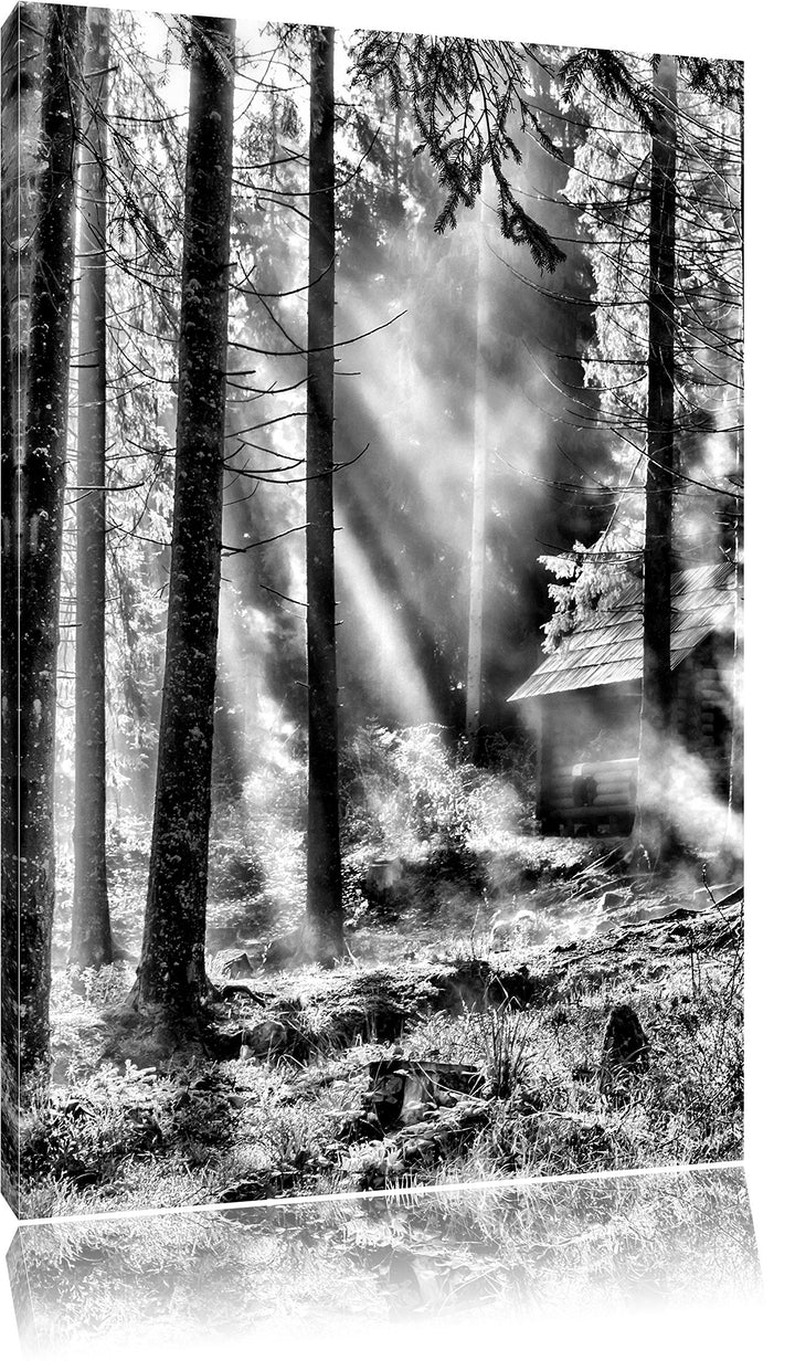 Pixxprint Monocrome, Sonnenstrahlen im Wald, Format: 100x70 auf Leinwand, riesige Bilder fertig gera