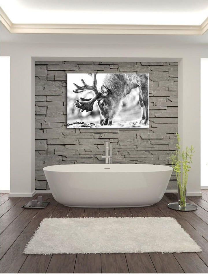Pixxprint süsses Rentier beim Essen Kunst B&W als Leinwandbild/Grösse: 100x70 cm/Wandbild/Kunstdruck
