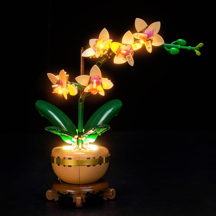 Led Licht Set Kompatibel mit Lego 10343 Mini Orchid Botanical Collection Set (Kein Modell), Dekorati