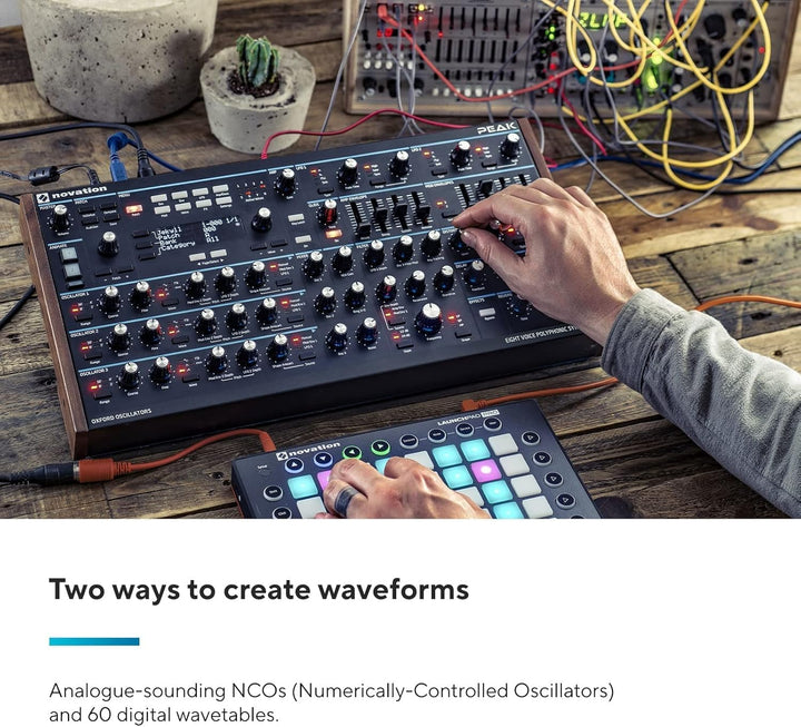 Novation Peak 8-stimmiger polyphonischer Desktop-Synthesizer Synthezizer Synzizer, Synzizer