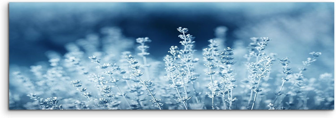 Sinus Art 150x50cm Wandbild – Farbe Blau Petrol Panoramabild Wandbild auf echter Leinwand in sehr ho