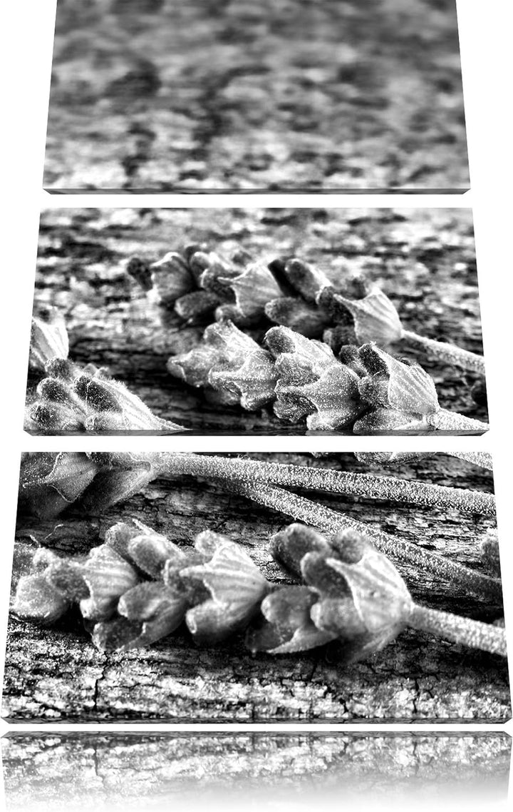 Pixxprint Lavendel auf Holz als Leinwandbild/Grösse: 3 Teilig (120x80) cm/Wandbild/Kunstdruck/fertig