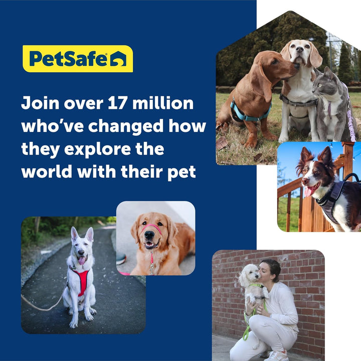 PetSafe Sanfter Führer Halsband mit Trainings-DVD Himbeerrosa Small Up to 25 Lb., Himbeerrosa Small