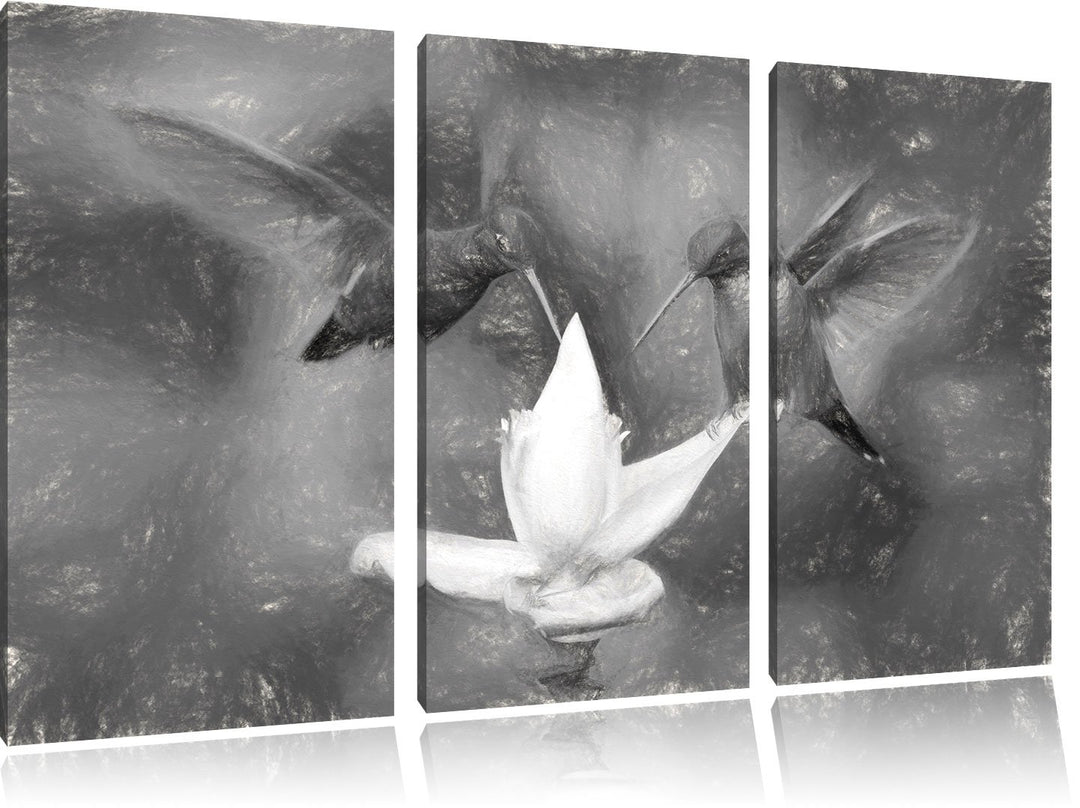 Pixxprint Kolibris in den Tropen als Leinwandbild/Grösse: 3 Teilig (120x80) cm/Wandbild/Kunstdruck/f