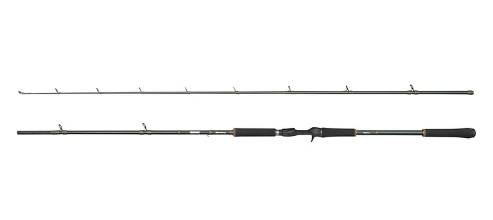 Abu Garcia Beast X Casting Rod, Freshwater Angler Fishing for Pike Perch & Zander, Strong Leightweig