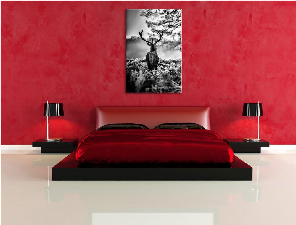 Pixxprint Hirsch Rivalen kämpfen als Leinwandbild/Grösse: 100x70 / Wandbild/Kunstdruck/fertig bespan