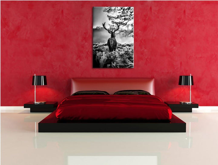 Pixxprint Hirsch Rivalen kämpfen als Leinwandbild/Grösse: 100x70 / Wandbild/Kunstdruck/fertig bespan