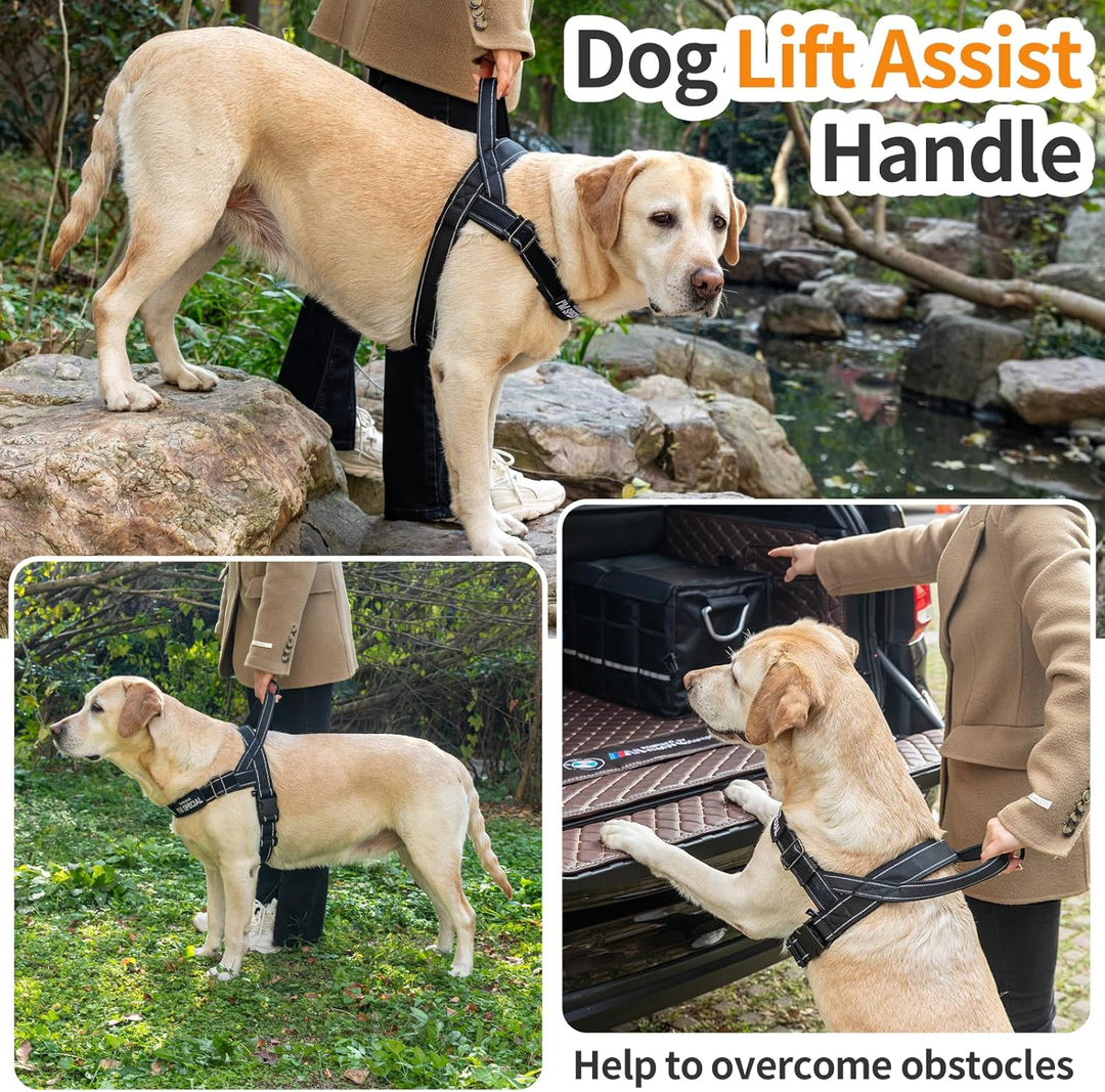 Hundegeschirr Verstellbar für Kleine Mittlere Grosse Hunde, Reflektierend Ausbruchsicher Ohne Zug, H