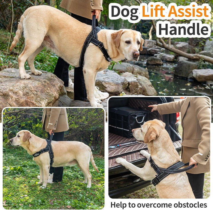 Hundegeschirr Verstellbar für Kleine Mittlere Grosse Hunde, Reflektierend Ausbruchsicher Ohne Zug, H