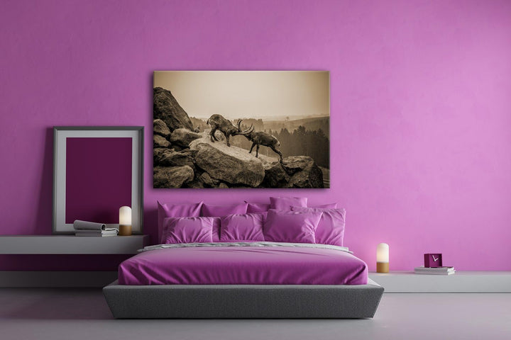 deyoli zwei kämpfende Steinböcke Format: 60x40 Effekt: Sepia als Leinwand, Motiv fertig gerahmt auf
