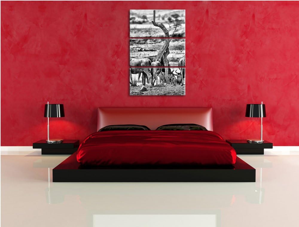 Pixxprint Monocrome, Kaffernbüffel Herde in Savanne 3-Teiler Leinwandbild 120x80 Bild auf Leinwand