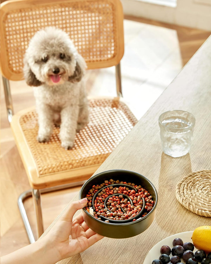 Keramik-Slow-Feeder-Hundenäpfe für Kleine Rassen, Antischlingnapf für Katze und Kleine Hunde, Langsa