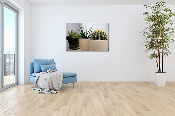 deyoli hausliche Pflanzen Format: 80x60 als Leinwandbild, Motiv fertig gerahmt auf Echtholzrahmen, H