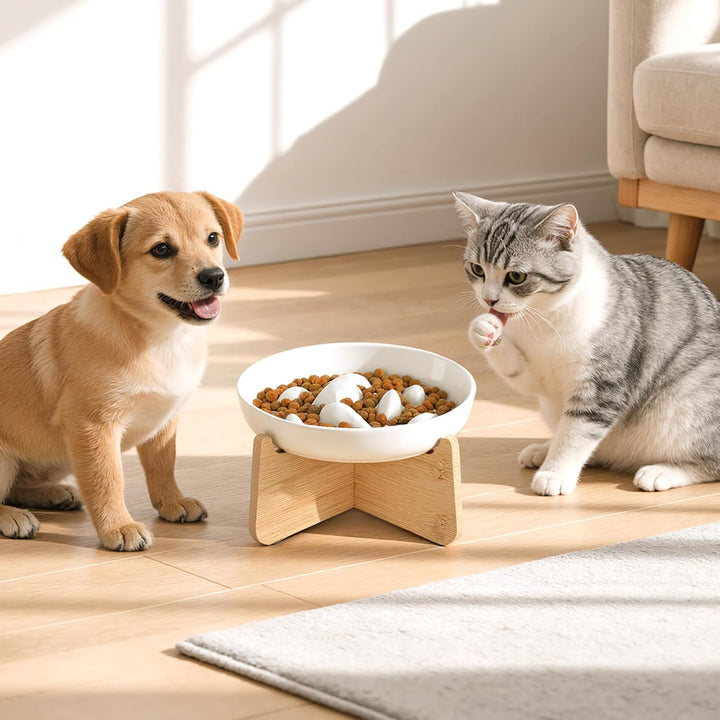 PETTOM Anti Schling Napf Katze Erhöht, Keramik Antischlingnapf Katze, Slow Feeder Katze Nassfutter,