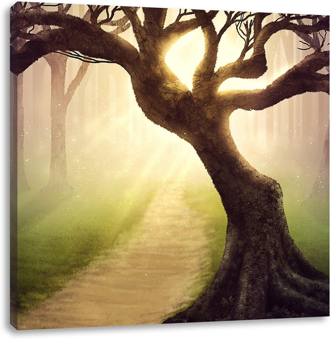 Riesiger Baum am Waldweg, Format: 70x70 auf Leinwand, XXL riesige Bilder fertig gerahmt mit Keilrahm
