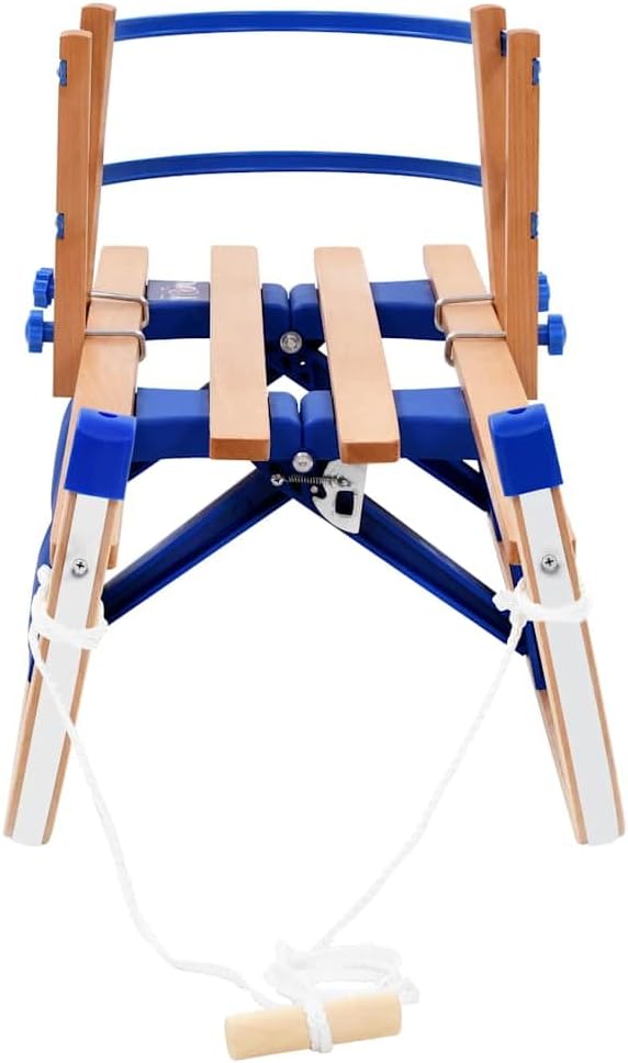 vidaXL Holzschlitten Lehne Holz 119 cm Rodel Schlitten Klappschlitten Kinder Blau mit Rückenlehne, B