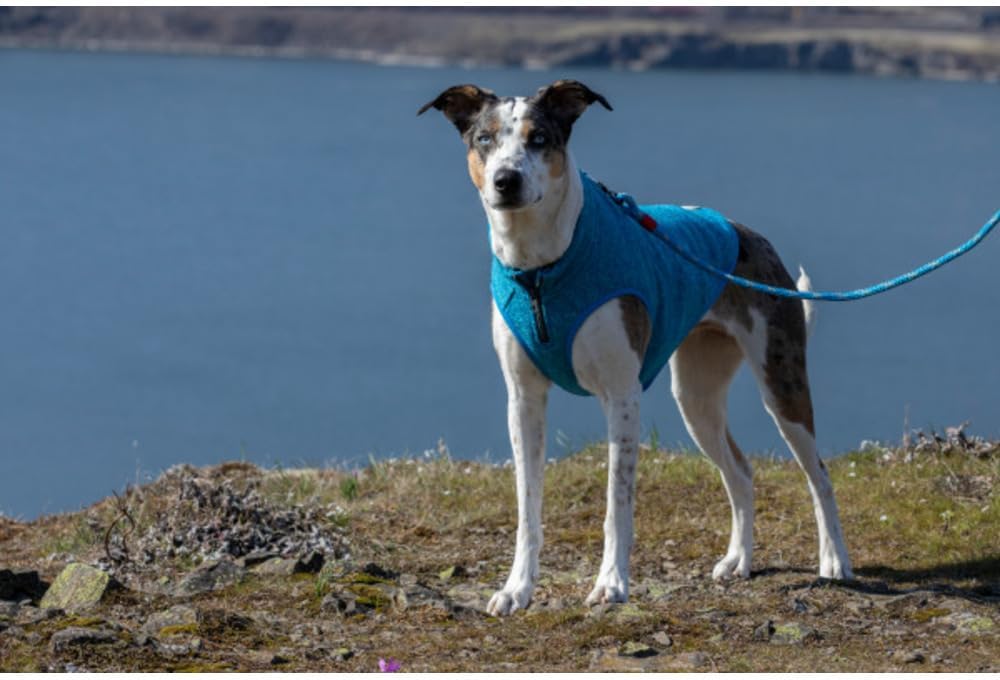 Kurgo Core Hunde-Pullover, Leichtes Fleece, Mit 2-Wege-Reissverschluss, Mit Hundegeschirr kompatibel