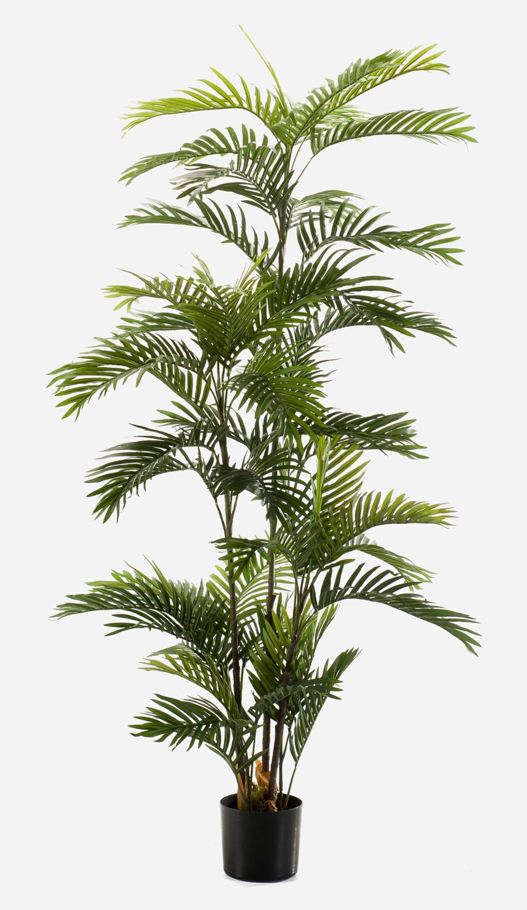 artplants.de Kunstpalme Areca Federico, 180cm - Kunst Dattelpalme