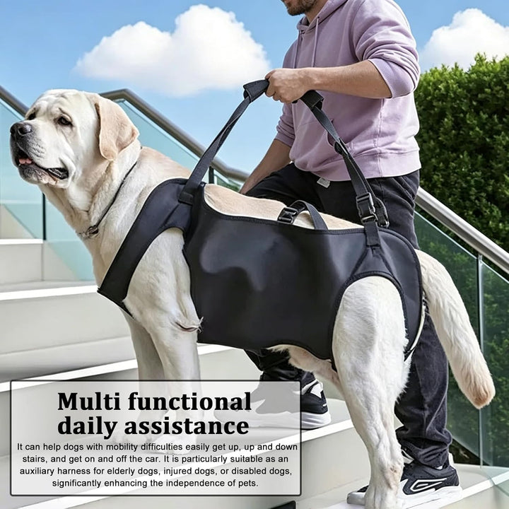 Hunde Tragehilfe: XL Hundehebegeschirr mit Abnehmbaren Schultergurten und Verstellbarem Kordelzug, T
