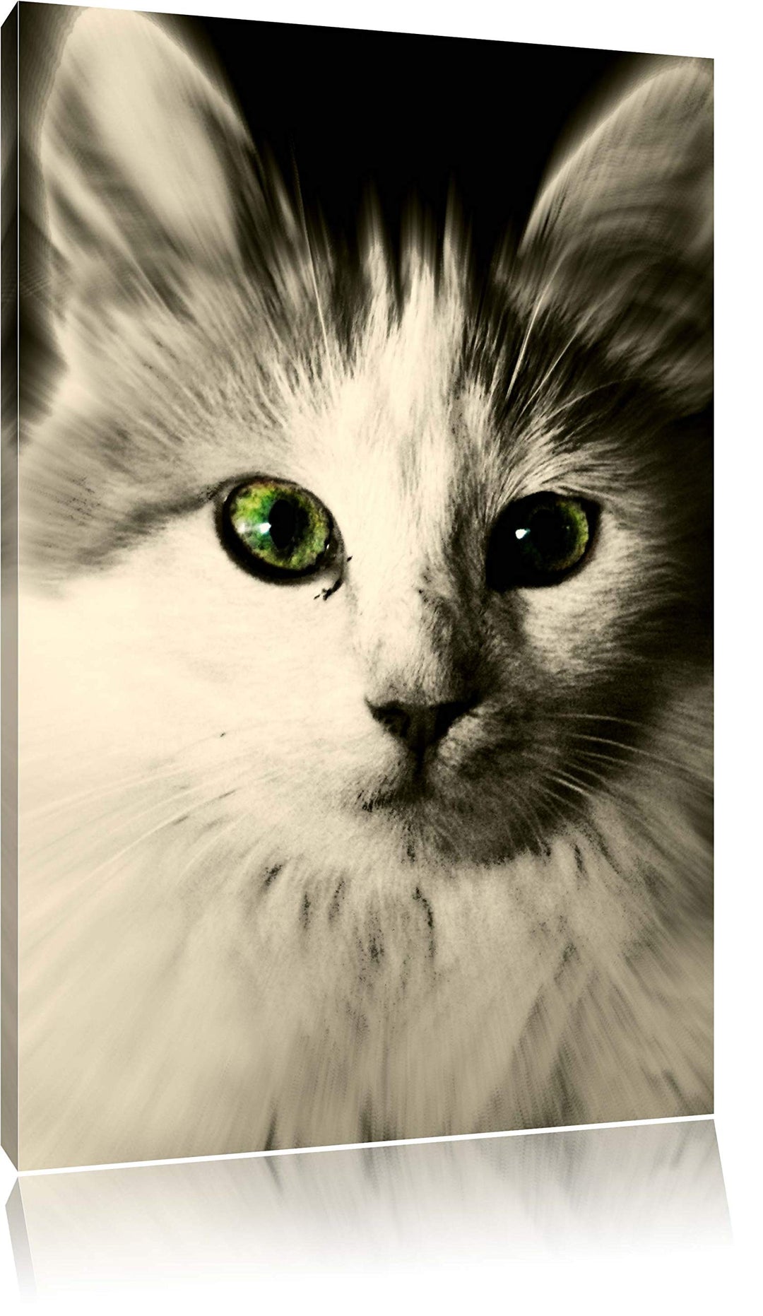 Pixxprint anmutige Katze auf Leinwand, XXL riesige Bilder fertig gerahmt mit Keilrahmen, Kunstdruck