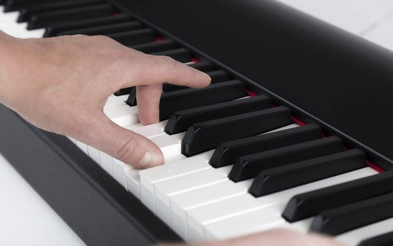 M-Audio Hammer 88 + SP-2 - USB/MIDI Keyboard Controller mit 88-Hammermechanik-Tasten + Universal Sus