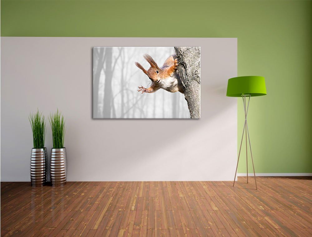 Pixxprint Neugierig rotes Eichhörnchen / 100x70cm Leinwandbild bespannt auf Holzrahmen/Wandbild Kuns