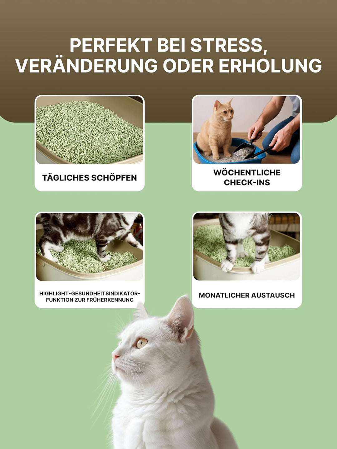 Tofu Katzenstreu aus Grünen Erbsen | Spülbar &amp; Klumpend | Antibakteriell | Geruchskontrolle &amp; Staubf
