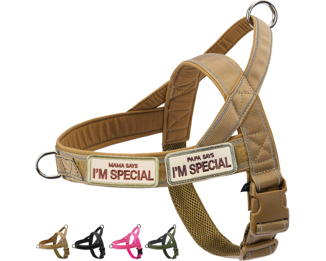 Eeyfarog No Pull Hundegeschirr für kleine mittelgrosse Hunde, reflektierend ausbruchsicher verstellb