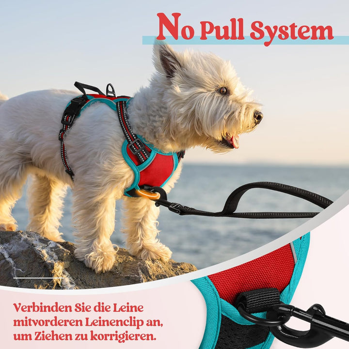 rabbitgoo Hundegeschirr Kleine Hunde, Anti Zug Geschirr mit Kontrolle, No Pull Verstellbar Hundegesc