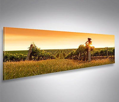 islandburner Bild Bilder auf Leinwand Weinberg Panorama XXL Poster Leinwandbild Wandbild Art up Your