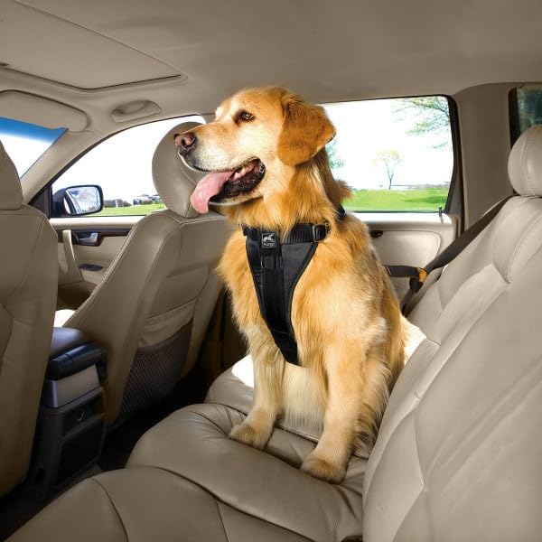 Kurgo Tru-Fit Hundegeschirr, Crash-Test-erprobtes Auto-Sicherheitsgurt, Für Hunde von 23 bis 36 kg,